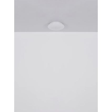 Globo - LED plafonsko svetlo LED/8W/230V 4000K prečnika 55 cm