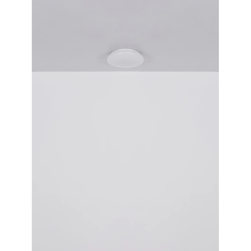 Globo - LED plafonsko svetlo LED/8W/230V 4000K prečnika 55 cm