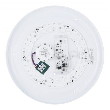 Globo - LED RGBW prigušiva plafonska svetiljka LED/24W/230V 3000-6500K+ daljinski upravljač