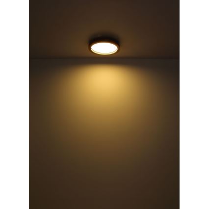 Globo - LED RGBW prigušiva stropna svetiljka LED/24W/230V 2700-6000K + daljinski upravljač