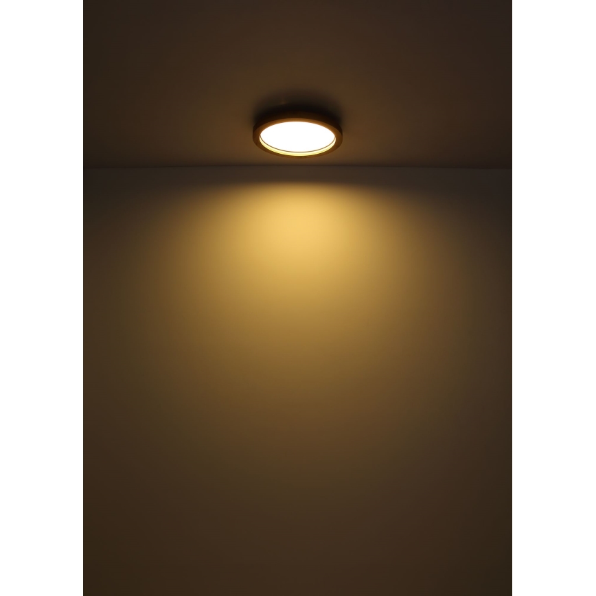 Globo - LED RGBW prigušiva stropna svetiljka LED/24W/230V 2700-6000K + daljinski upravljač