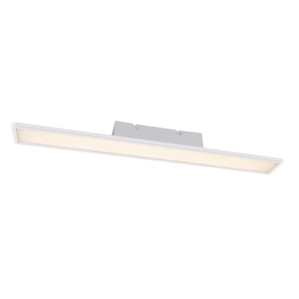 Globo - LED kupatilsko plafonsko svetlo LED/12W/230V IP44