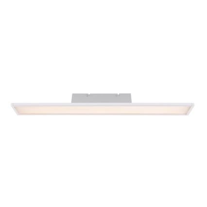 Globo - LED kupatilsko plafonsko svetlo LED/12W/230V IP44