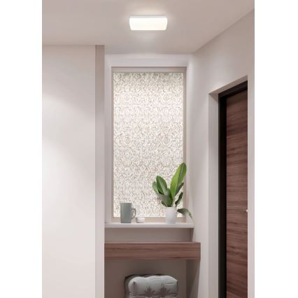 Globo - LED stropna svetiljka LED/12W/230V 3000/4200/6500K 28,5x13,5 cm