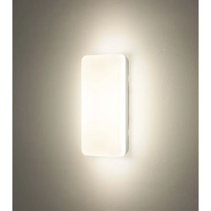 Globo - LED stropna svetiljka LED/12W/230V 3000/4200/6500K 28,5x13,5 cm