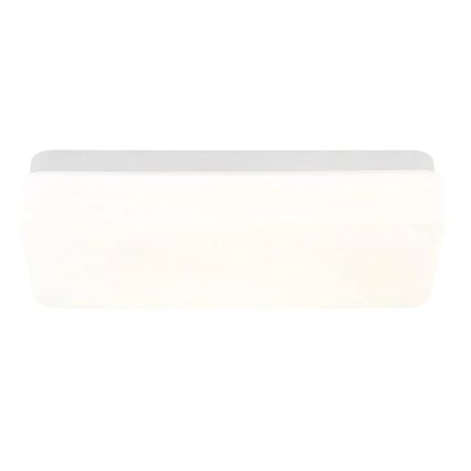 Globo - LED stropna svetiljka LED/12W/230V 3000/4200/6500K 28,5x13,5 cm