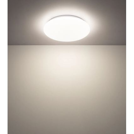 Globo - LED plafonsko svetlo LED/12W/230V 3000/4200/6500K prečnik 26 cm