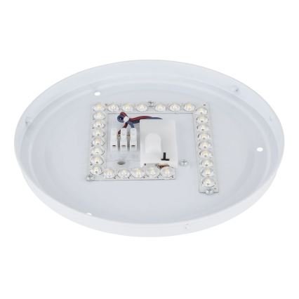 Globo - LED plafonsko svetlo LED/12W/230V 3000/4200/6500K prečnik 26 cm