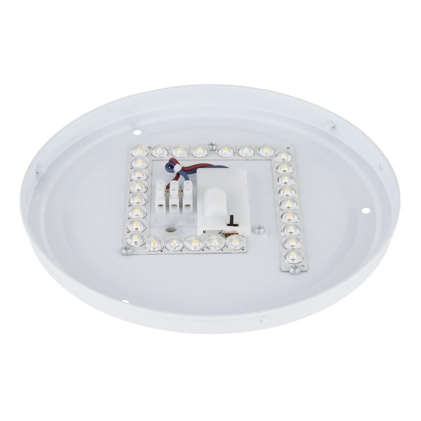 Globo - LED plafonsko svetlo LED/12W/230V 3000/4200/6500K prečnik 26 cm