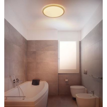 Globo - LED prigušiva kupatilska plafonska lampa LED/18W/230V 3000K IP44 prečnik 29,4 cm mesing