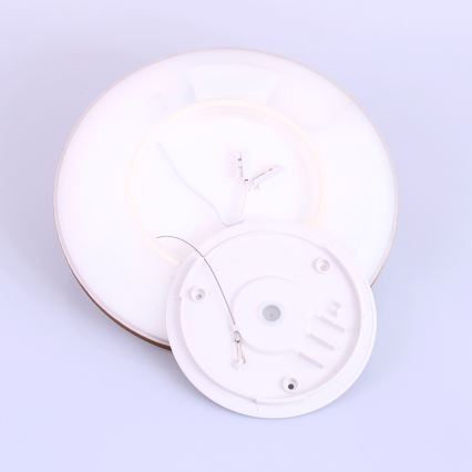 Globo - LED prigušiva stropna lampa za kupatilo LED/18W/230V prečnik 29,4 cm IP44 braon