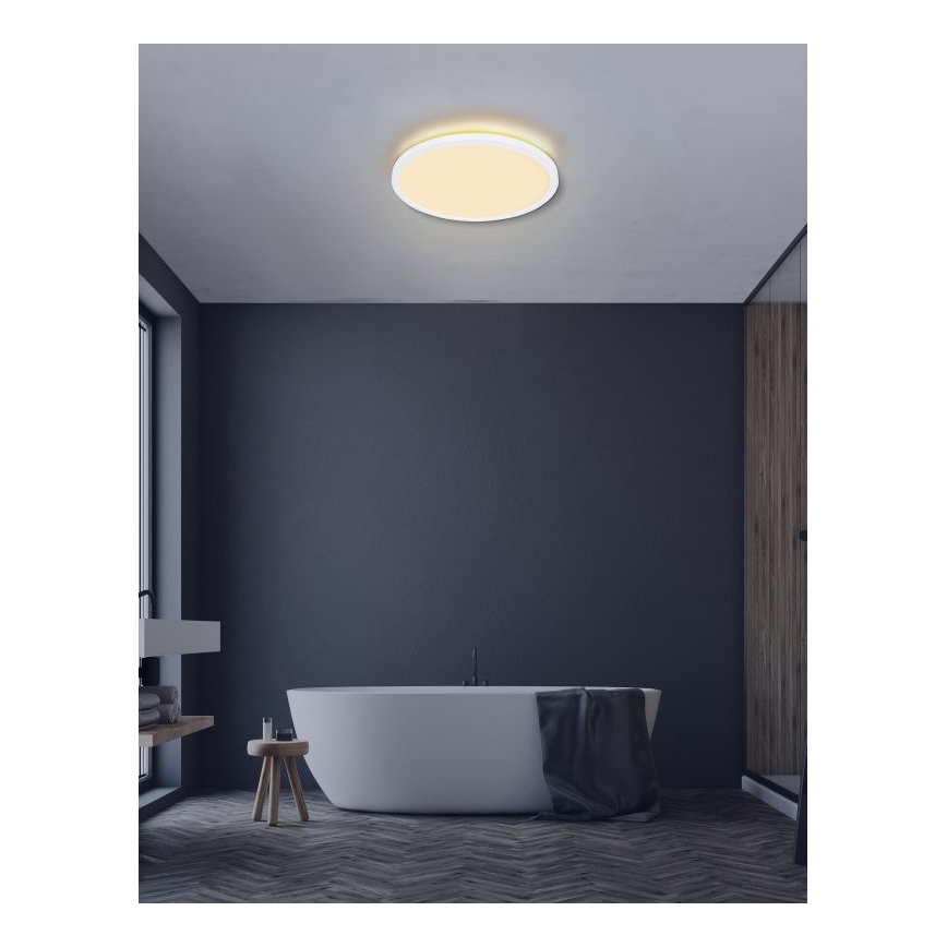 Globo - prigušiva LED plafonska svetiljka za kupatilo LED/24W/230V prečnika 42 cm IP44 bela