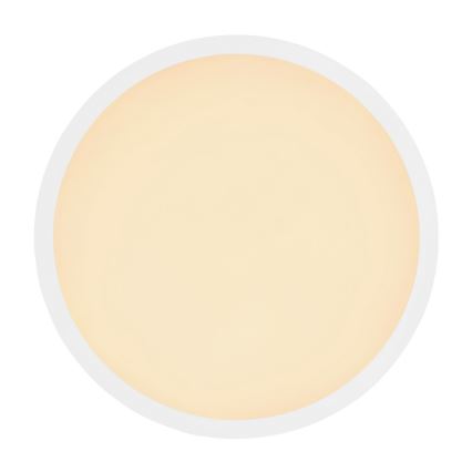 Globo - prigušiva LED plafonska svetiljka za kupatilo LED/24W/230V prečnika 42 cm IP44 bela