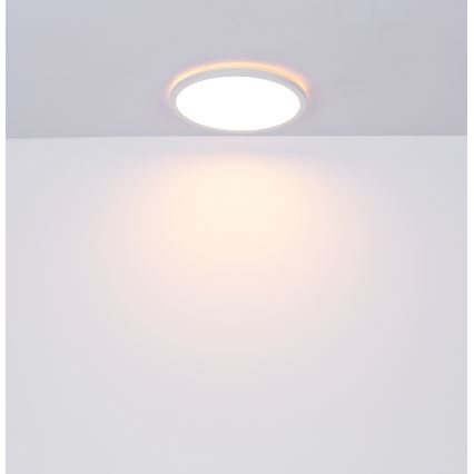 Globo - prigušiva LED plafonska svetiljka za kupatilo LED/24W/230V prečnika 42 cm IP44 bela
