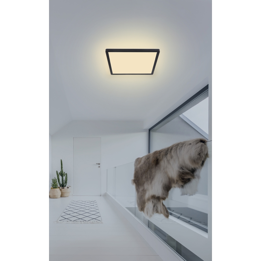 Globo - LED prigušiva kupatilska plafonska lampa LED/18W/230V 29,4x29,4 cm IP44 crna