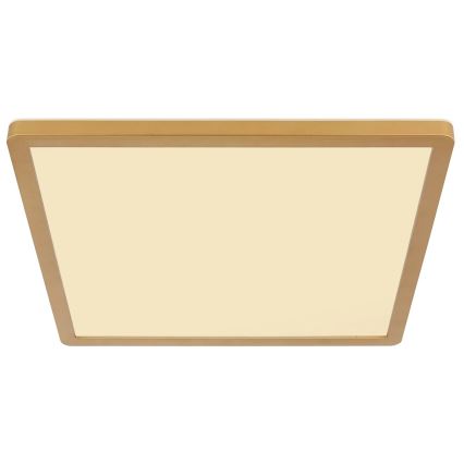 Globo - prigušiva LED plafonska lampa za kupatilo LED/18W/230V 3000K IP44 29,4x29,4 cm mesing