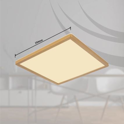 Globo - prigušiva LED plafonska lampa za kupatilo LED/18W/230V 3000K IP44 29,4x29,4 cm mesing