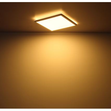 Globo - LED prigušiva stropna svetiljka za kupatilo LED/18W/230V 29,4x29,4 cm IP44 bela