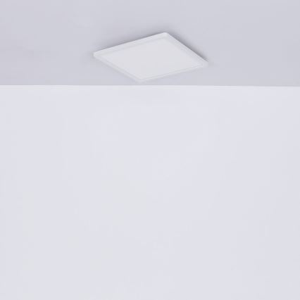 Globo - LED prigušiva kupatilska plafonska svetiljka LED/24W/230V 42x42 cm IP44 bela