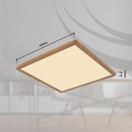 Globo - LED prigušiva plafonska svetiljka za kupatilo LED/24W/230V 42x42 cm IP44 braon