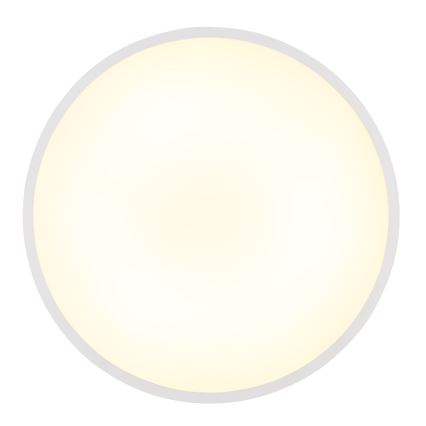 Globo - LED plafonska svetiljka LED/32W/230V 4000K prečnik 40 cm bela