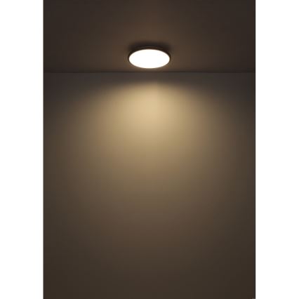 Globo - LED plafonsko svetlo LED/18 W/230 V/4000 K/prečnik 35 cm/crno