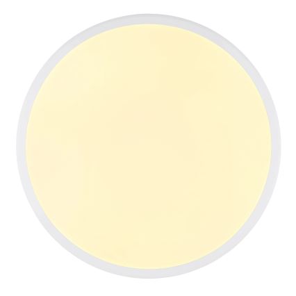 Globo - LED plafonsko svetlo LED/18W/230V 3000K prečnik 35 cm bela
