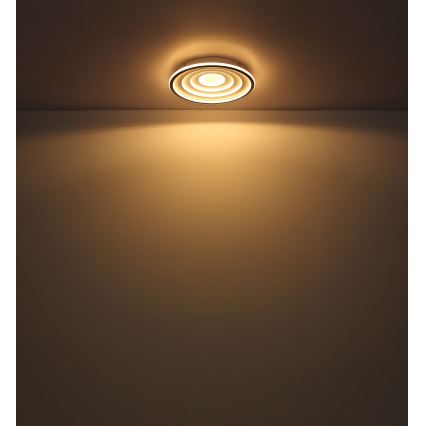 Globo - LED plafonsko svetlo LED/24W/230V