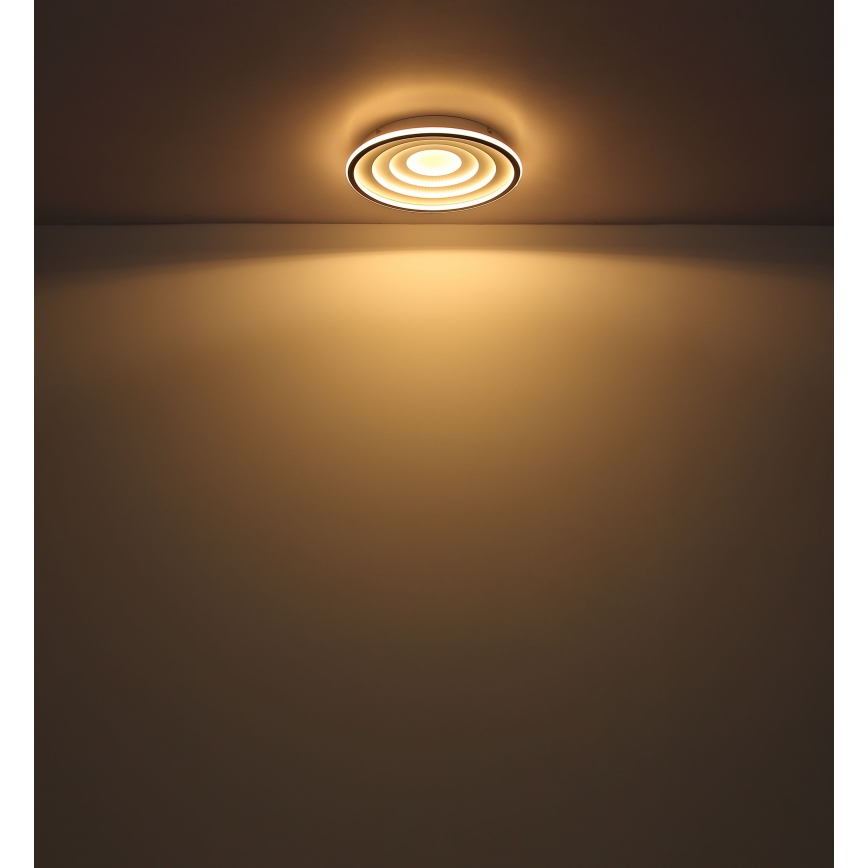 Globo - LED plafonsko svetlo LED/24W/230V