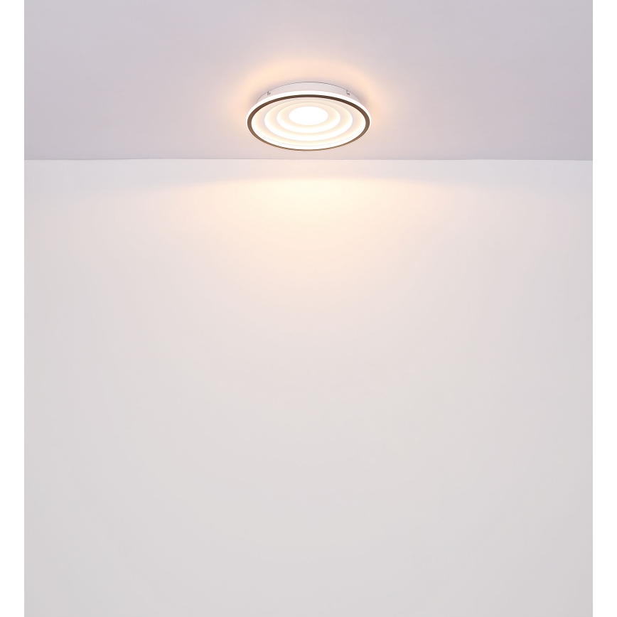 Globo - LED plafonsko svetlo LED/24W/230V