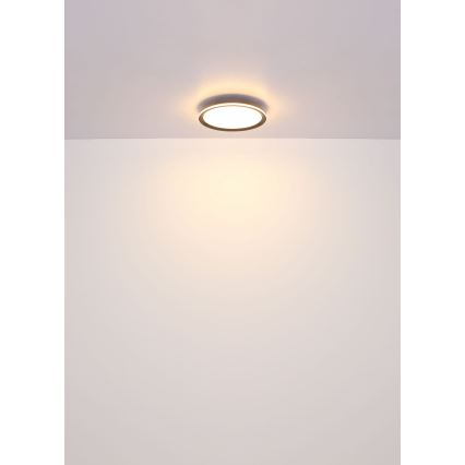 Globo - LED plafonsko svetlo LED/30W/230V pr. 30 cm