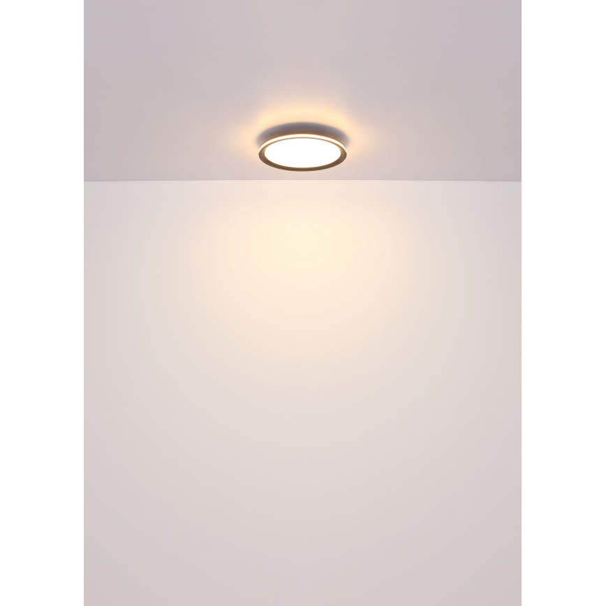 Globo - LED plafonsko svetlo LED/30W/230V pr. 30 cm