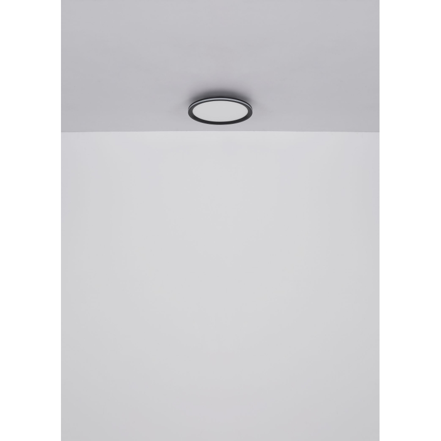 Globo - LED plafonsko svetlo LED/30W/230V pr. 30 cm