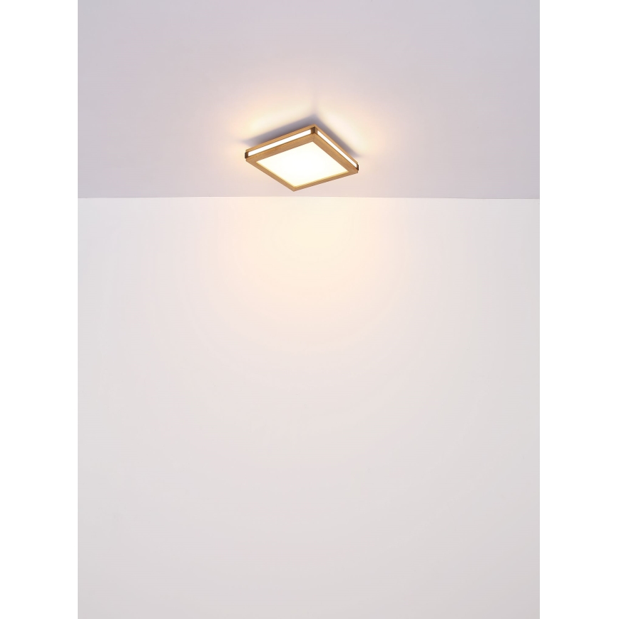 Globo - LED stropno svetlo LED/12W/230V 30x30 cm
