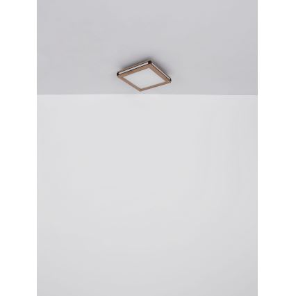 Globo - LED stropno svetlo LED/12W/230V 30x30 cm
