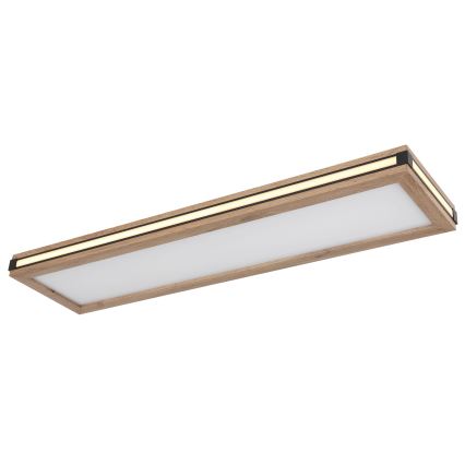 Globo - LED plafonsko svetlo LED/24W/230V 20x80 cm
