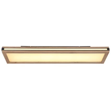 Globo - LED plafonsko svetlo LED/24W/230V 20x80 cm