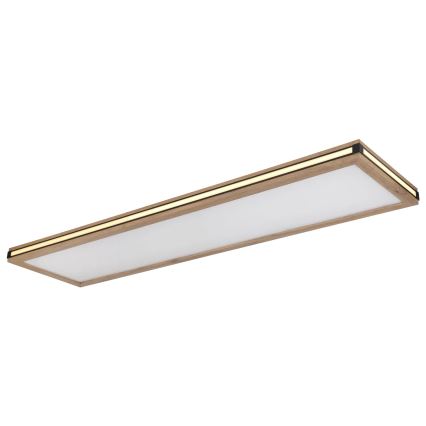 Globo - LED plafonsko svetlo prigušiva LED/36W/230V 3000K 30x120 cm