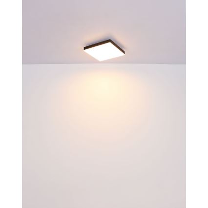 Globo - LED Prigušiva plafonska svetiljka LED/24W/230V 2700-6500K crna + daljinski upravljač