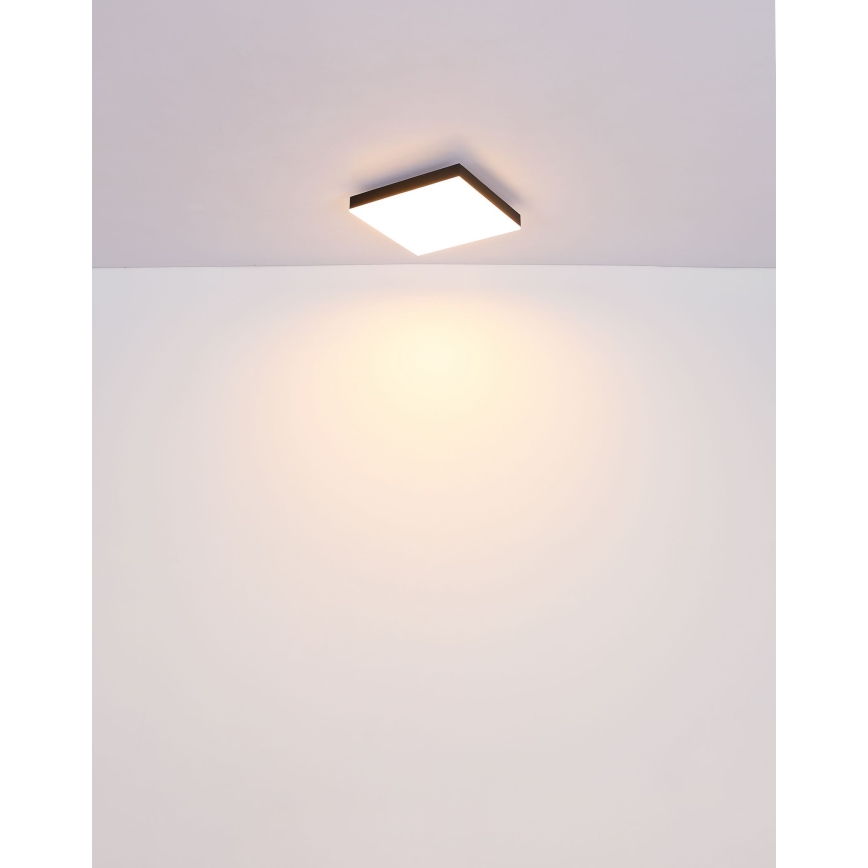 Globo - LED Prigušiva plafonska svetiljka LED/24W/230V 2700-6500K crna + daljinski upravljač
