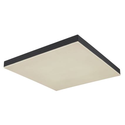 Globo - LED Prigušiva plafonska svetiljka LED/24W/230V 2700-6500K crna + daljinski upravljač