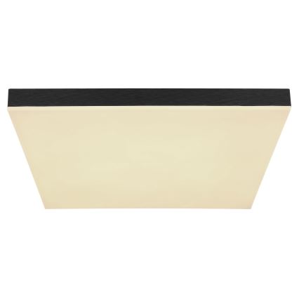 Globo - LED Prigušiva plafonska svetiljka LED/24W/230V 2700-6500K crna + daljinski upravljač