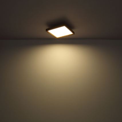 Globo - LED plafonsko svetlo LED/12W/230V 2700/4500/6500K 30x30 cm