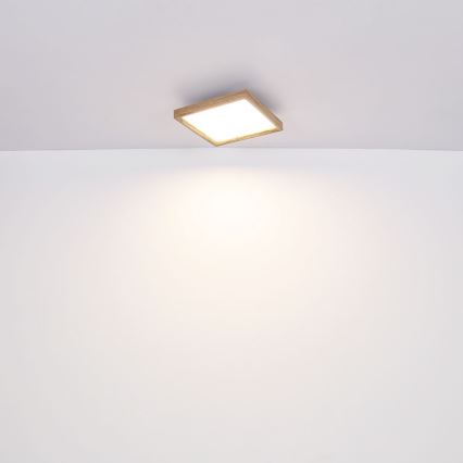 Globo - LED plafonsko svetlo LED/12W/230V 2700/4500/6500K 30x30 cm