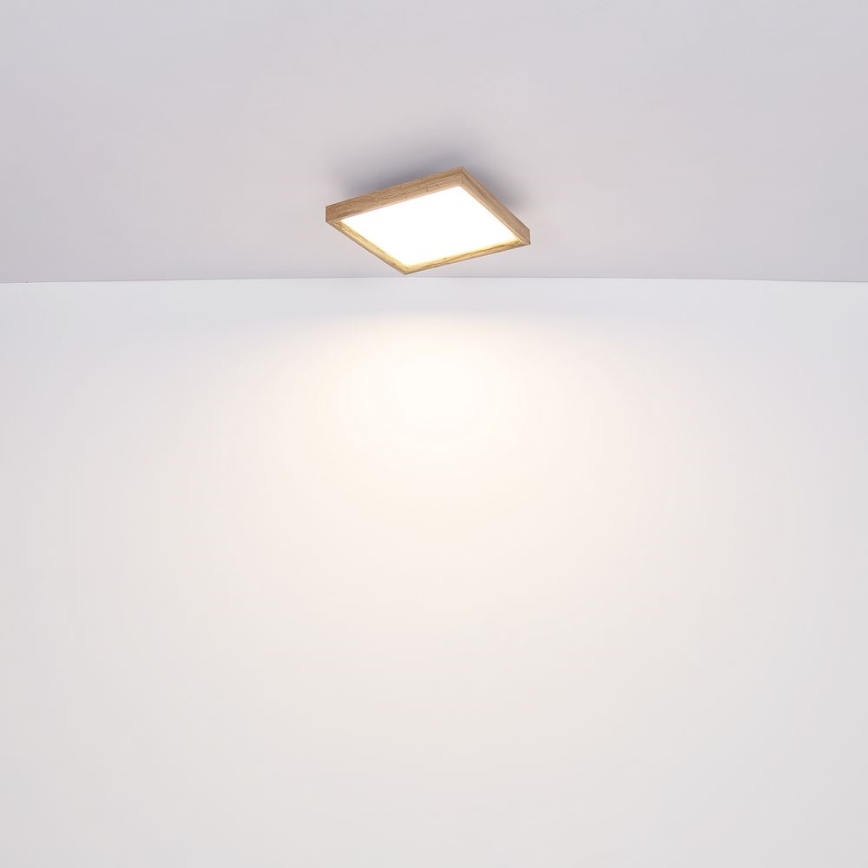 Globo - LED plafonsko svetlo LED/12W/230V 2700/4500/6500K 30x30 cm