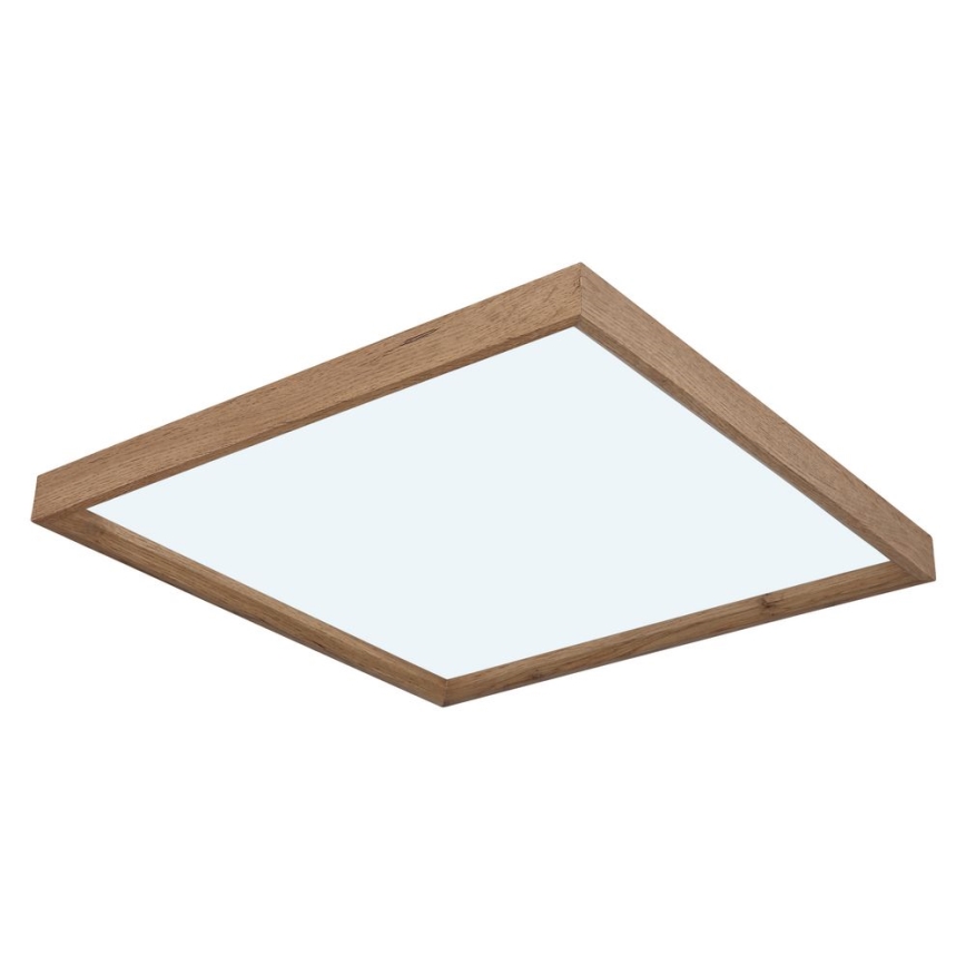 Globo - LED plafonsko svetlo LED/24W/230V 45cm 2700/4500/6500K