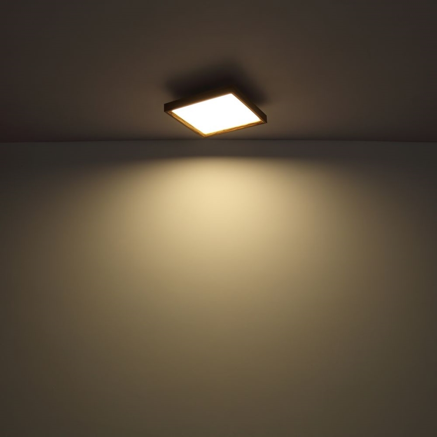 Globo - LED plafonsko svetlo LED/24W/230V 45cm 2700/4500/6500K