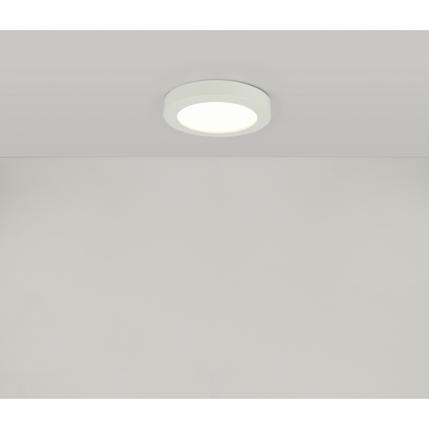 Globo - LED plafonsko svetlo za kupatilo LED/18W/230V IP44