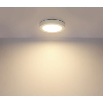 Globo - LED plafonsko svetlo za kupatilo LED/18W/230V IP44