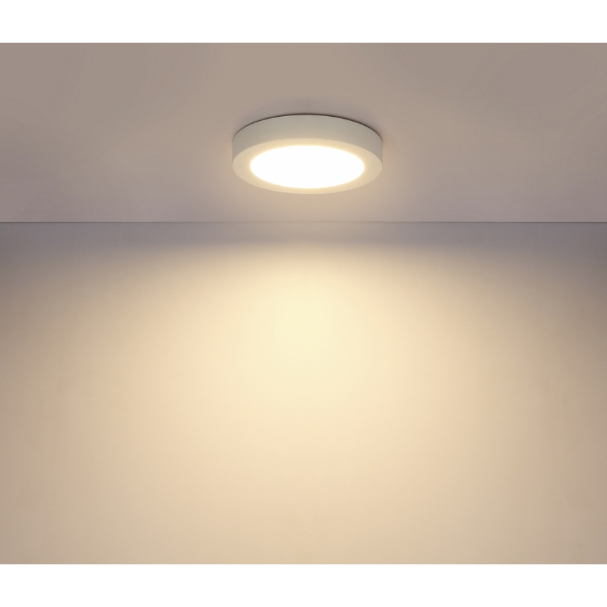 Globo - LED plafonsko svetlo za kupatilo LED/18W/230V IP44